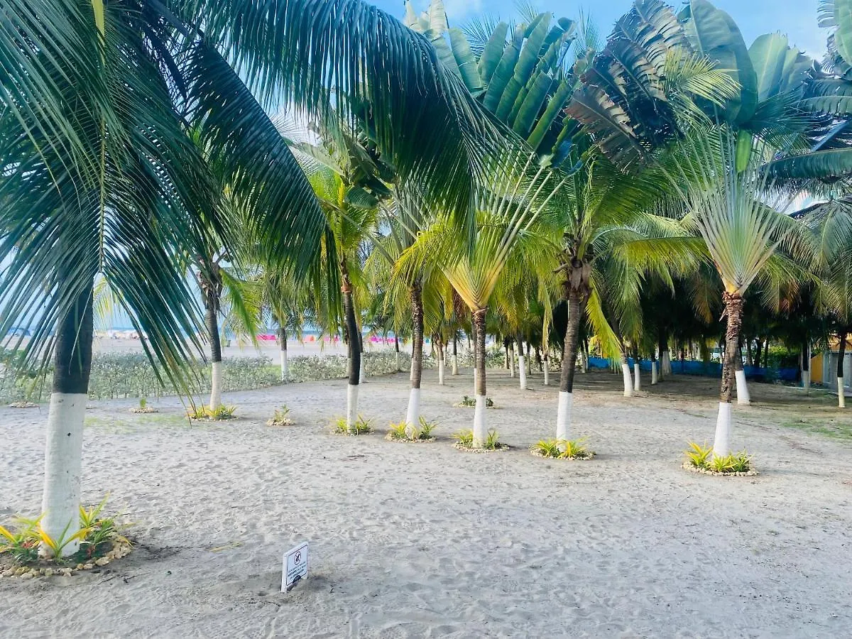 Apartment ¡Amazing Beach Duplex! Infinity Pool / Rooftop Cartagena